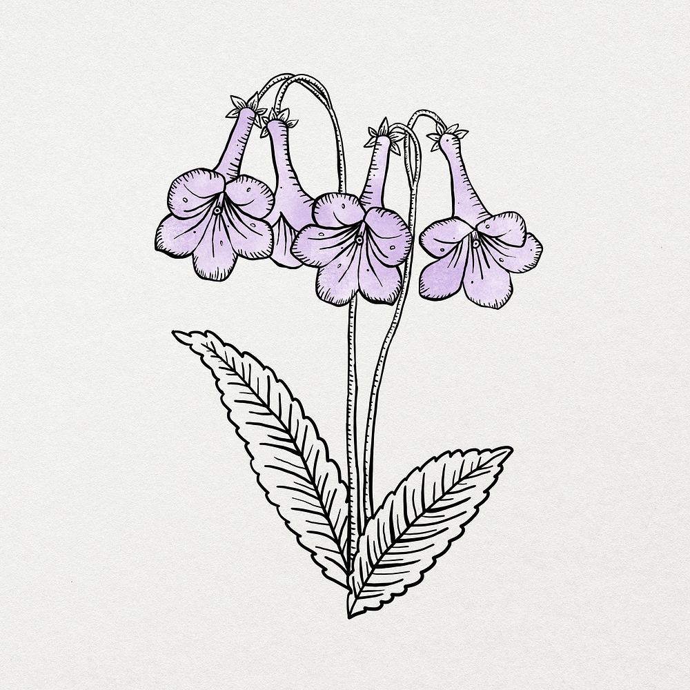 Purple watercolor flower line art, aesthetic botanical design