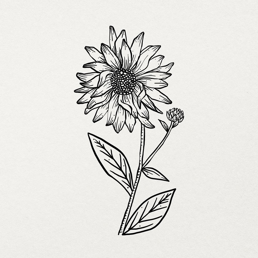 Hand drawn flower sticker, minimal black and white line art design psd