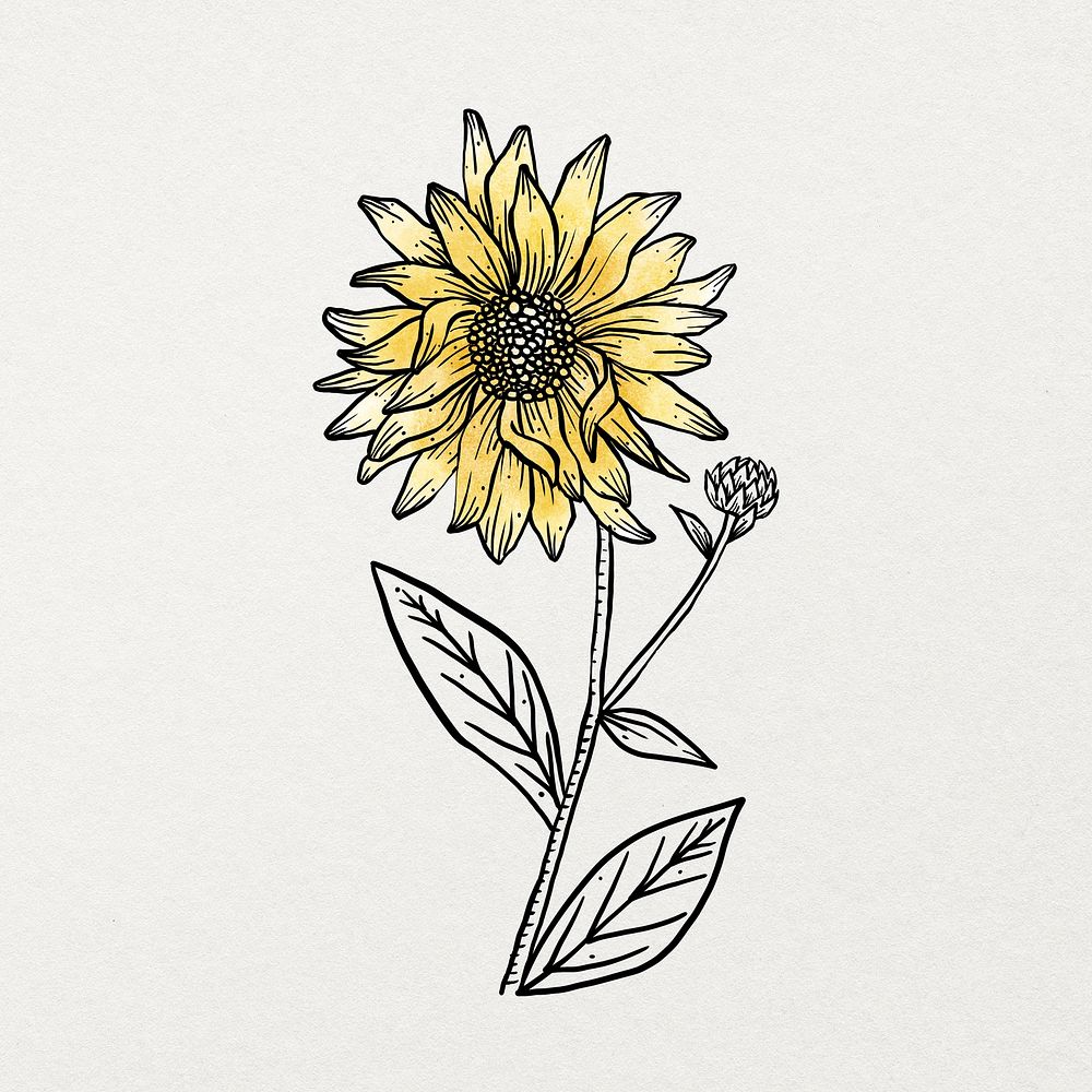 Botanical watercolor line art sticker, aesthetic flower element on beige background psd