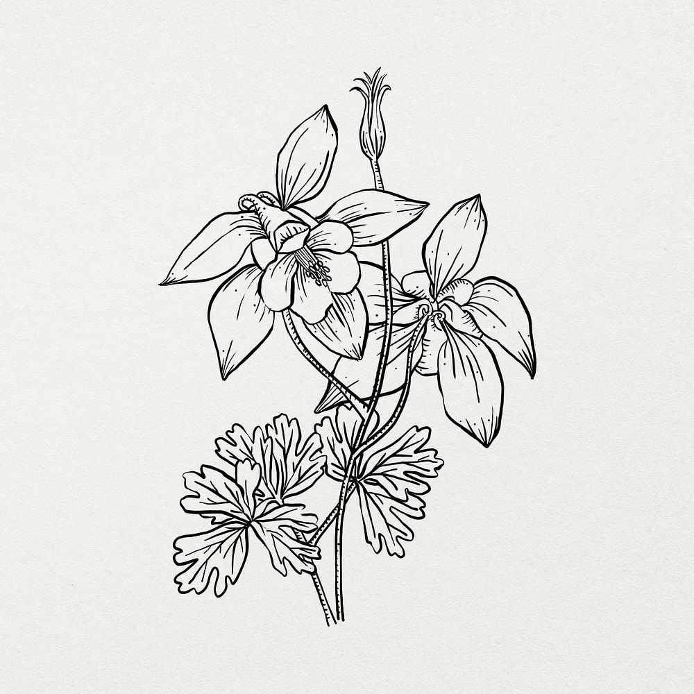 Hand drawn flower sticker, minimal black and white line art design psd