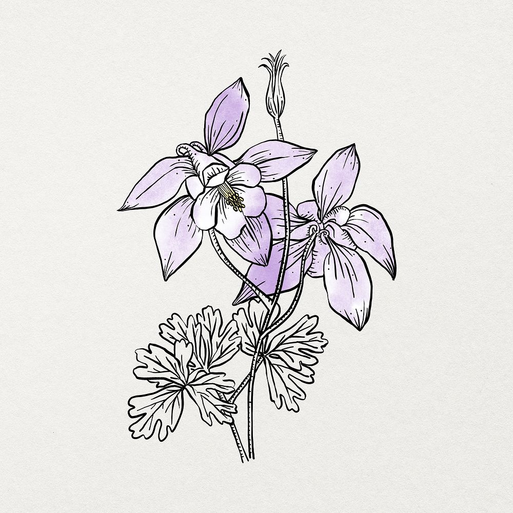 Botanical watercolor line art sticker, aesthetic flower element on beige background psd