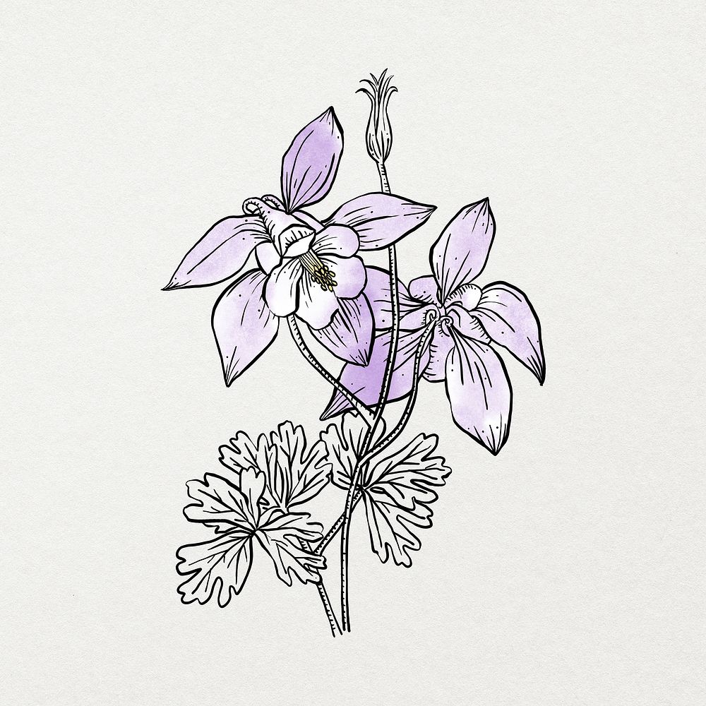 Purple watercolor flower line art, aesthetic botanical design