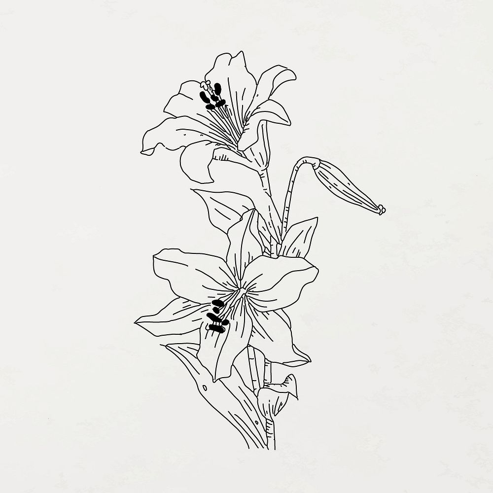 Hand drawn flower sticker, black and white design vector