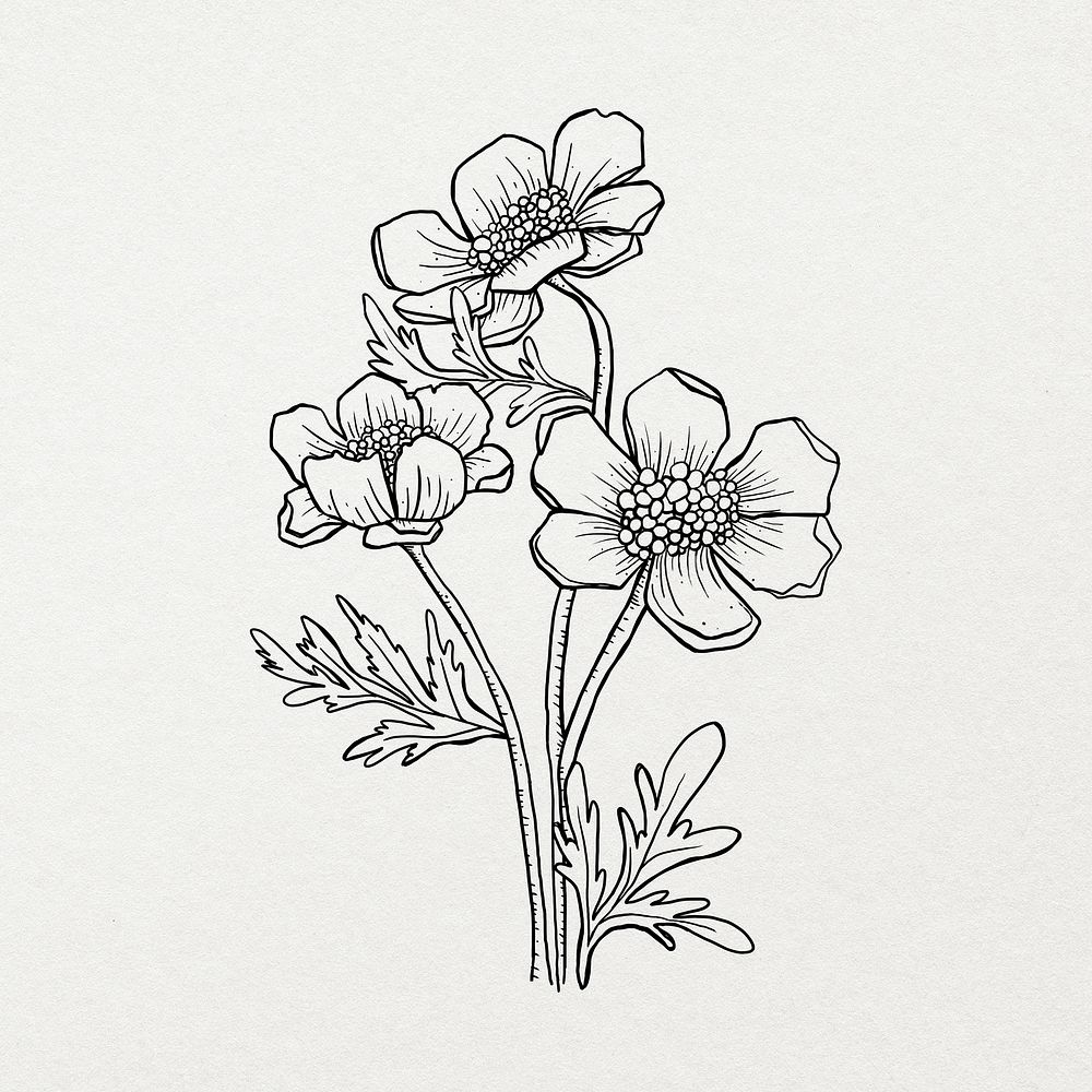 Flower line art design illustration, botanical hand drawn design