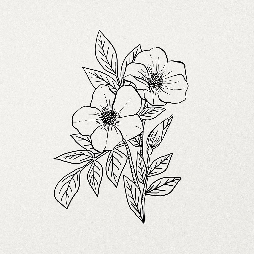 Hand drawn flower sticker, black and white design psd