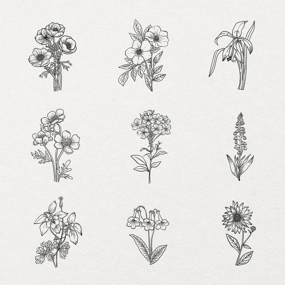 Aesthetic flower sticker line art, botanical illustration black and white collection psd