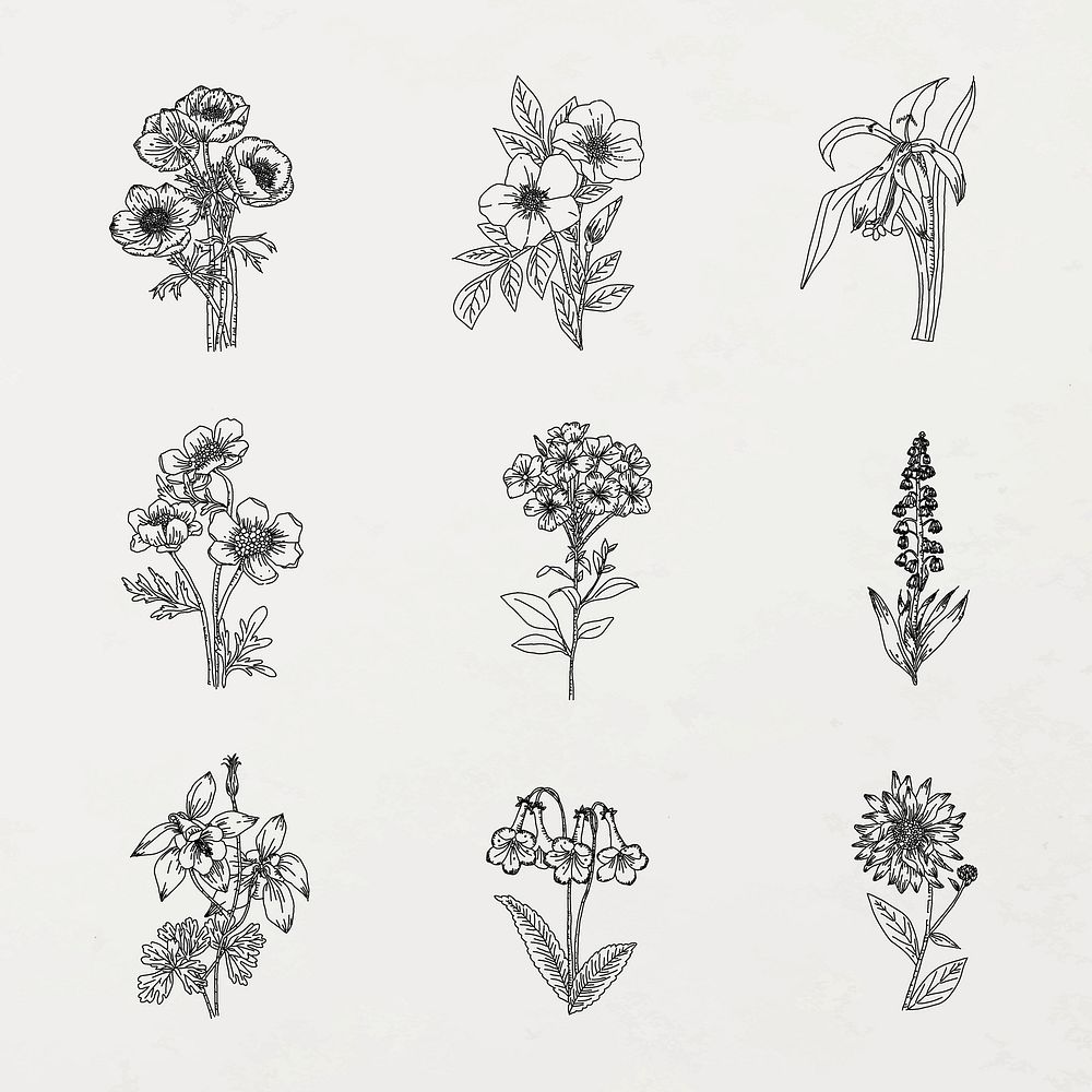 Aesthetic flower sticker line art, botanical illustration black and white collection vector