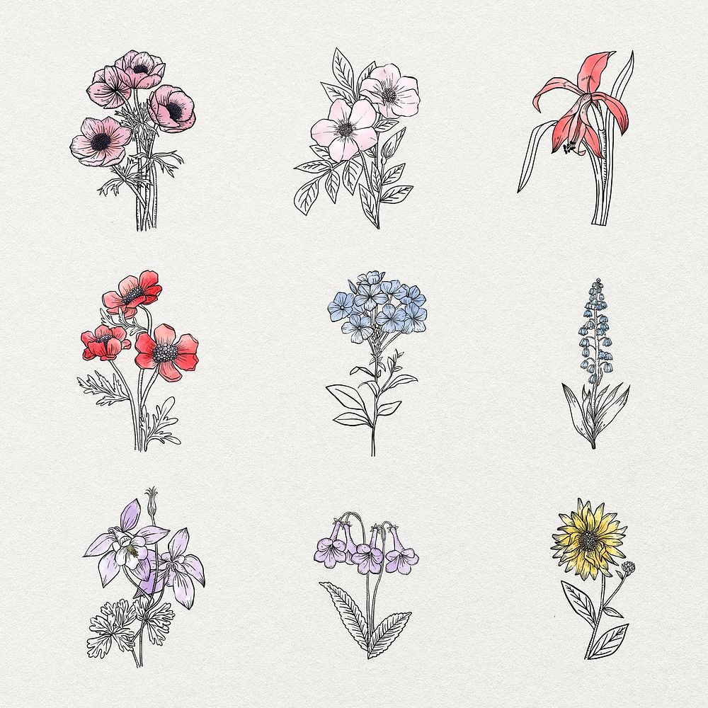 Aesthetic flower line art sticker, watercolor botanical set psd