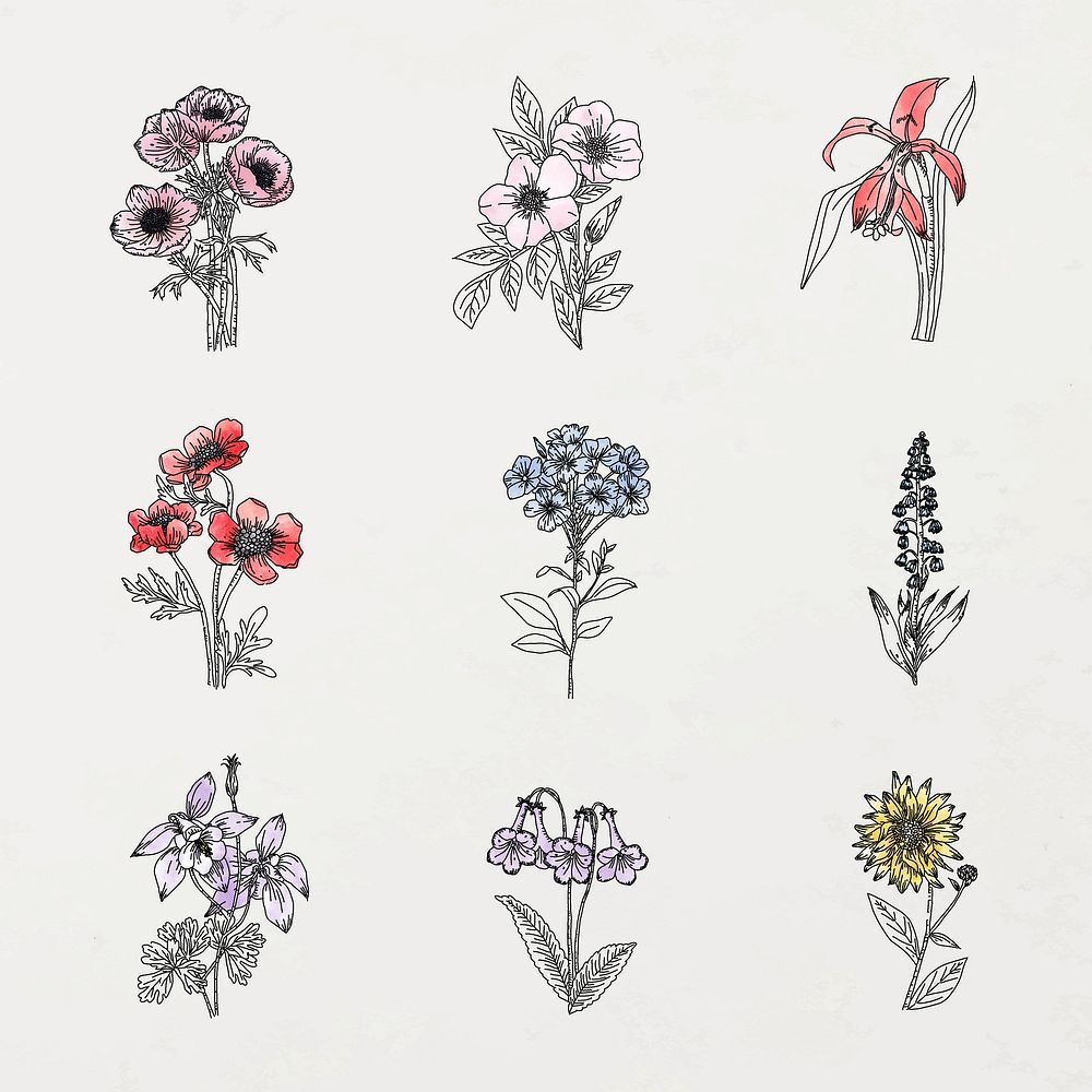 Aesthetic flower line art sticker, watercolor botanical collection vector