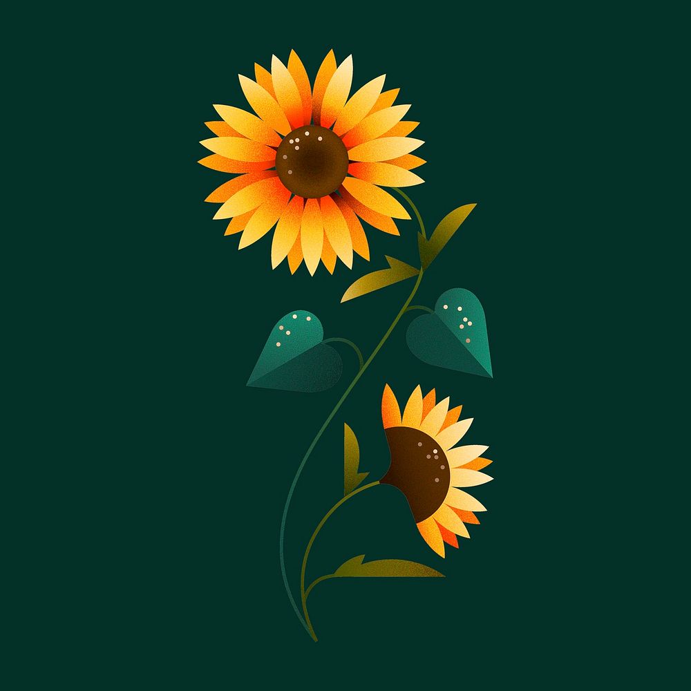Sunflower sticker design, illustrative floral psd
