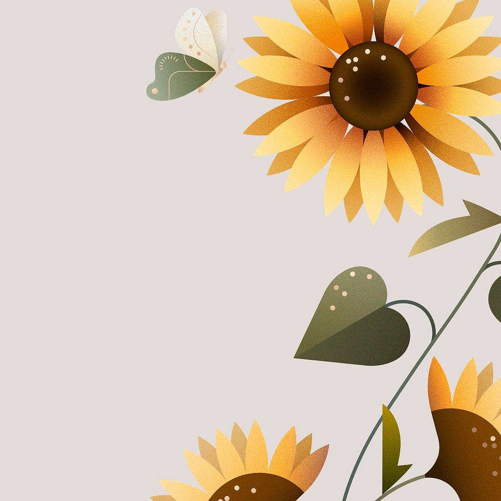 Sunflower gray background, floral border design vector
