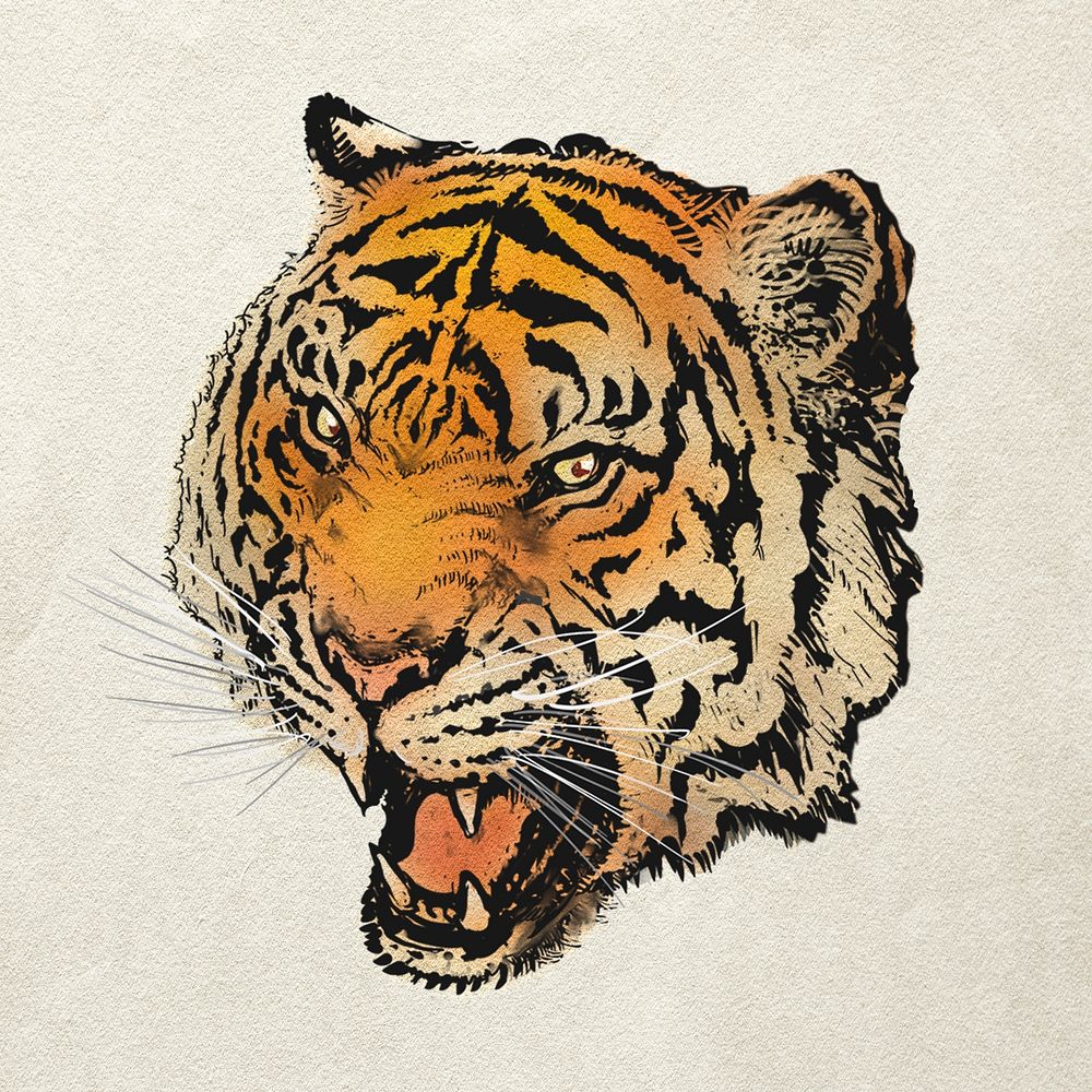 Roaring tiger sticker, animal realistic illustration psd