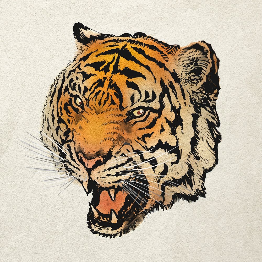 Roaring tiger sticker, animal realistic illustration vector