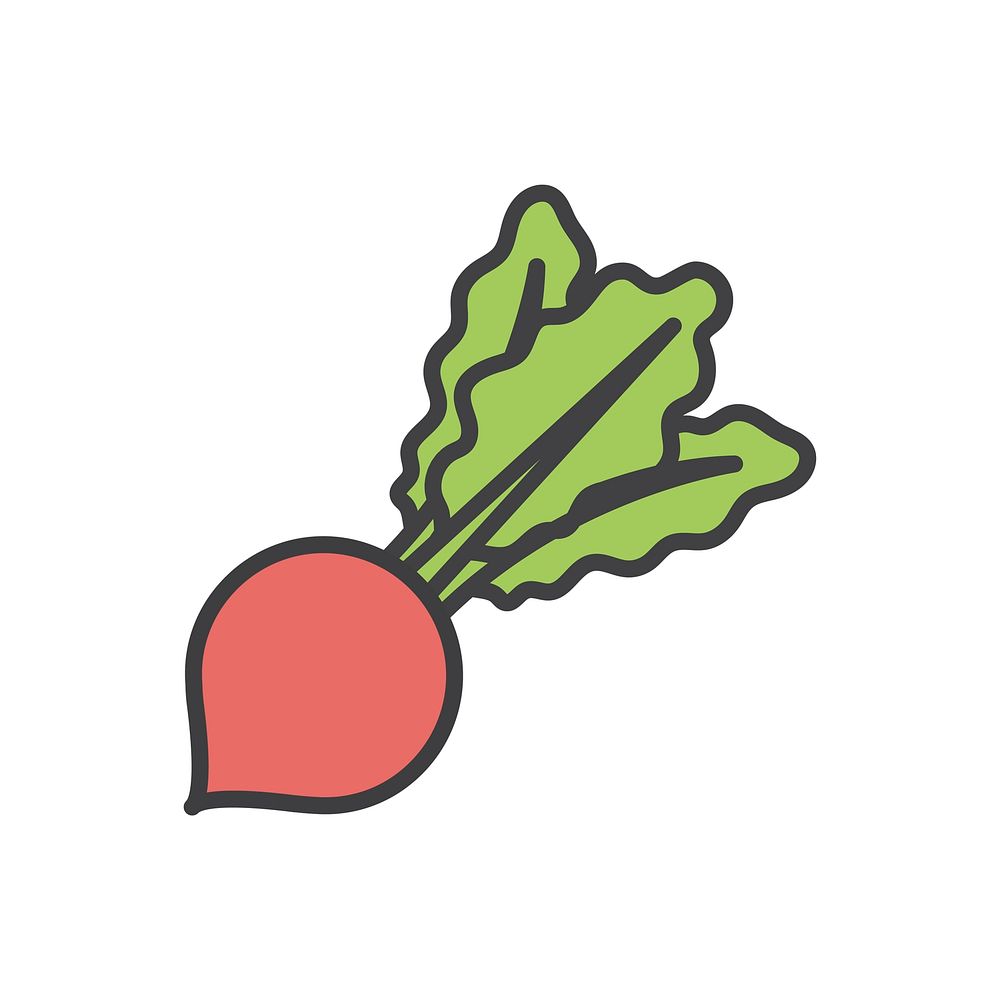 Illustration of a radish