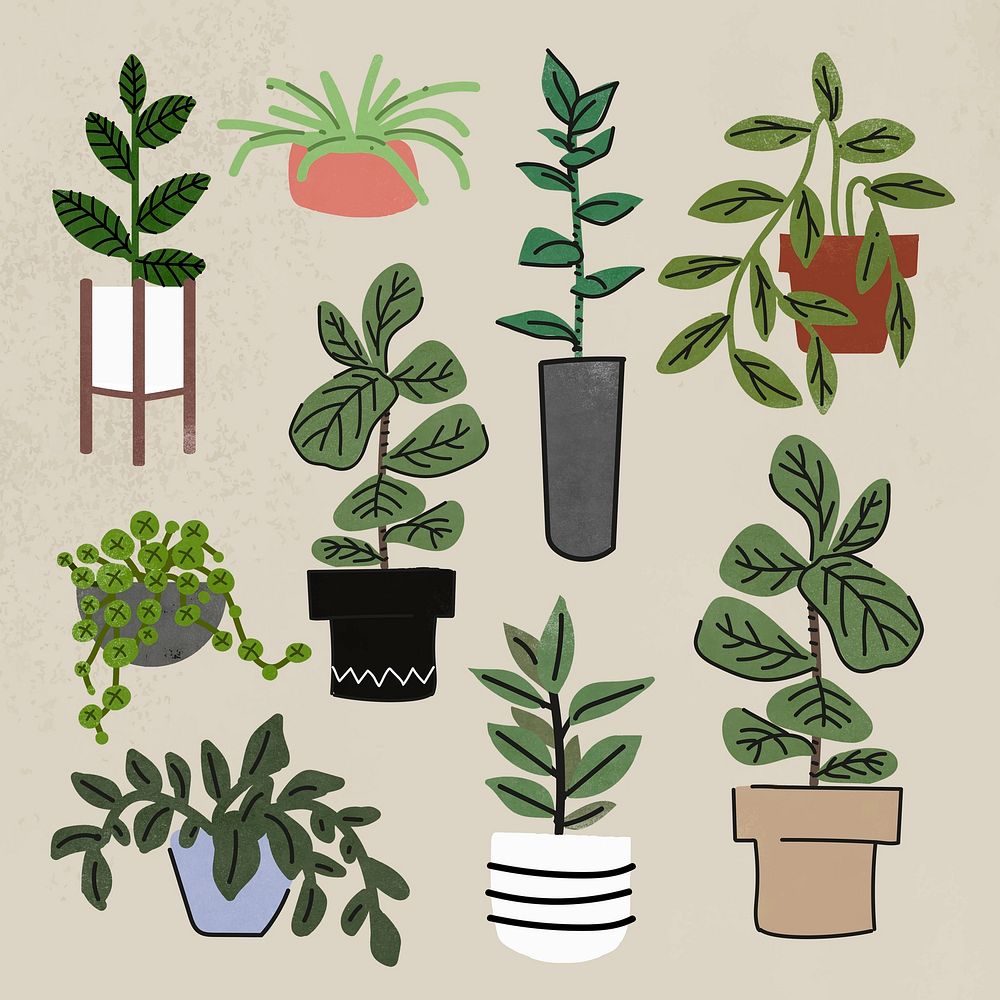 Houseplant clipart, home decor illustration set psd