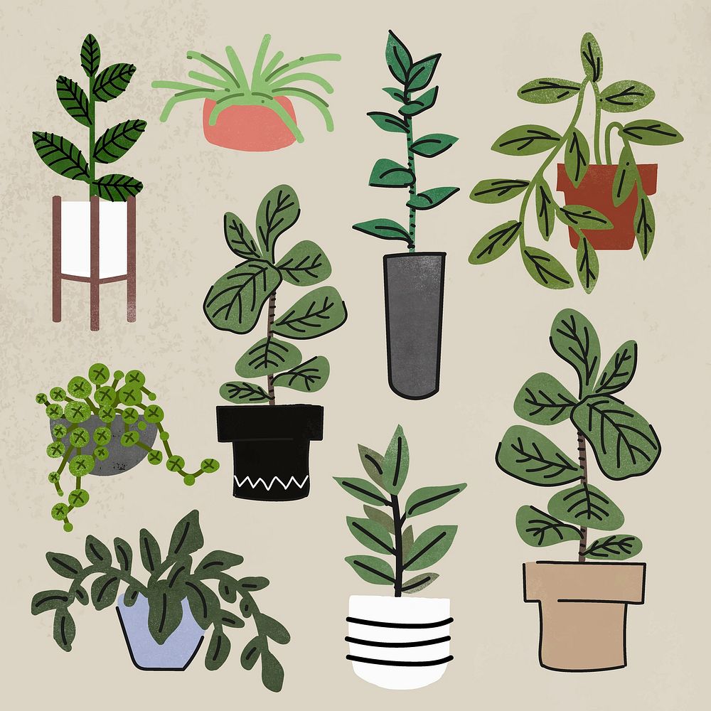 Houseplant clipart, home decor illustration set vector