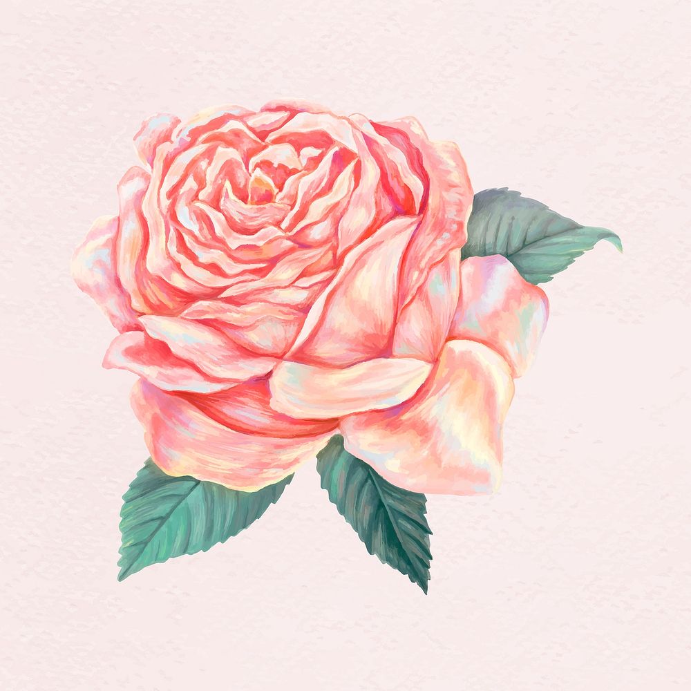 Aesthetic rose collage element, peach painting design vector