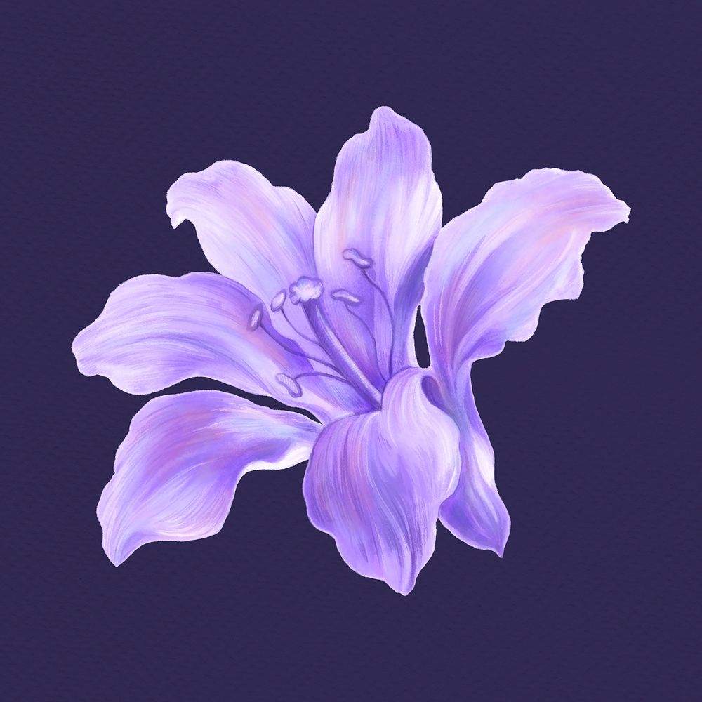Purple lily clipart, aesthetic painting design