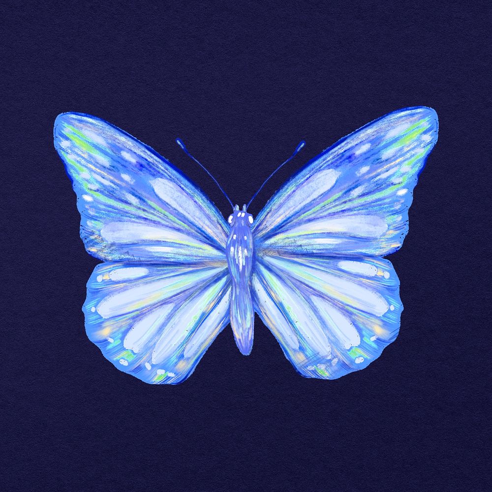 Blue butterfly clipart, aesthetic design