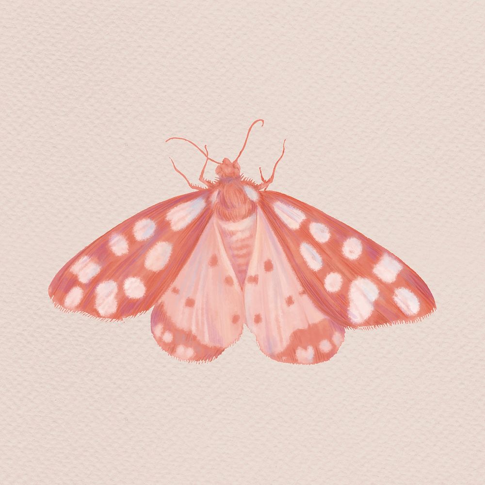Peach butterfly clipart, aesthetic design