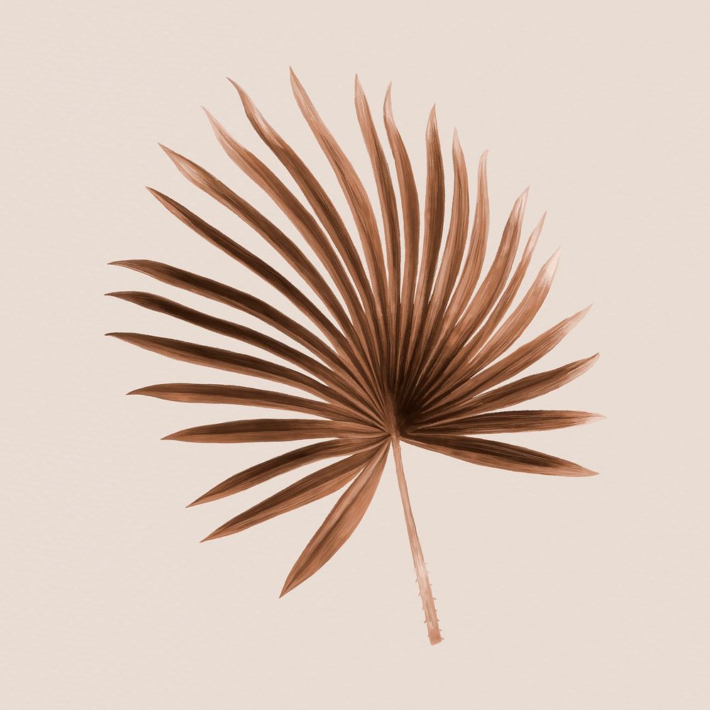 Tropical leaf clipart, brown fan palm leaf design