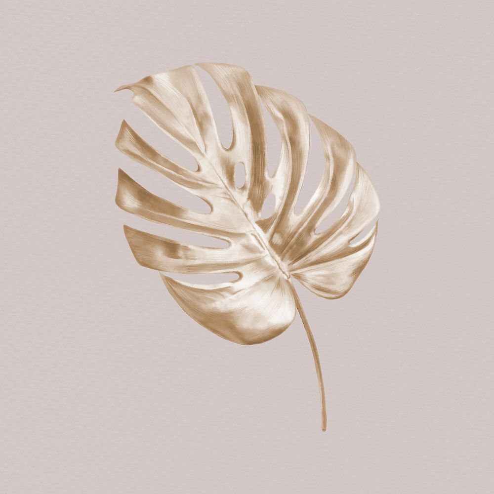 Monstera leaf clipart, brown aesthetic painting design