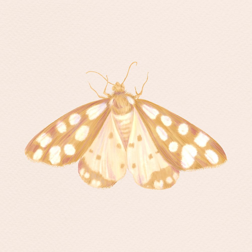 Brown butterfly clipart, aesthetic design