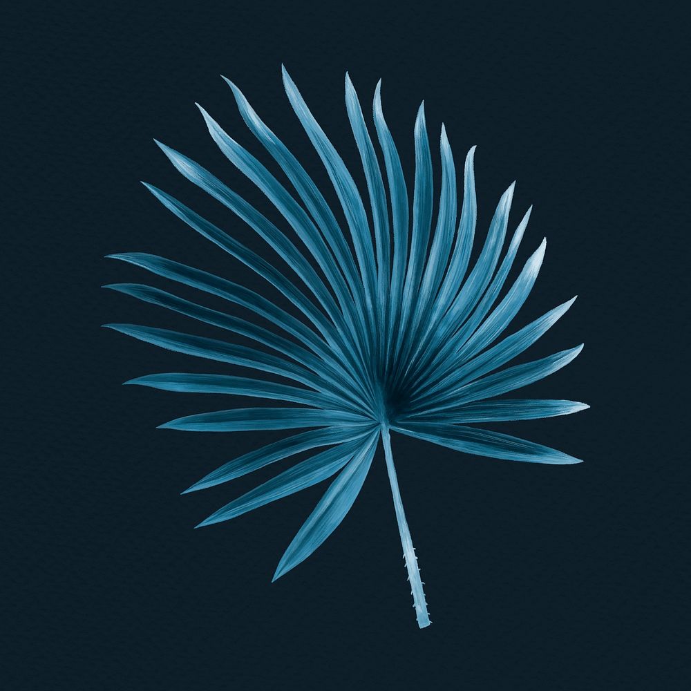Tropical leaf clipart, blue fan palm leaf design