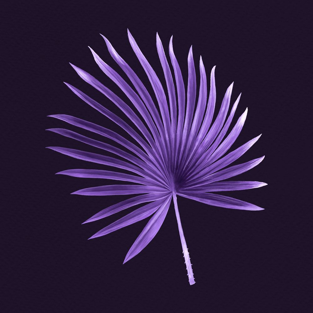 Tropical leaf clipart, purple fan palm leaf design