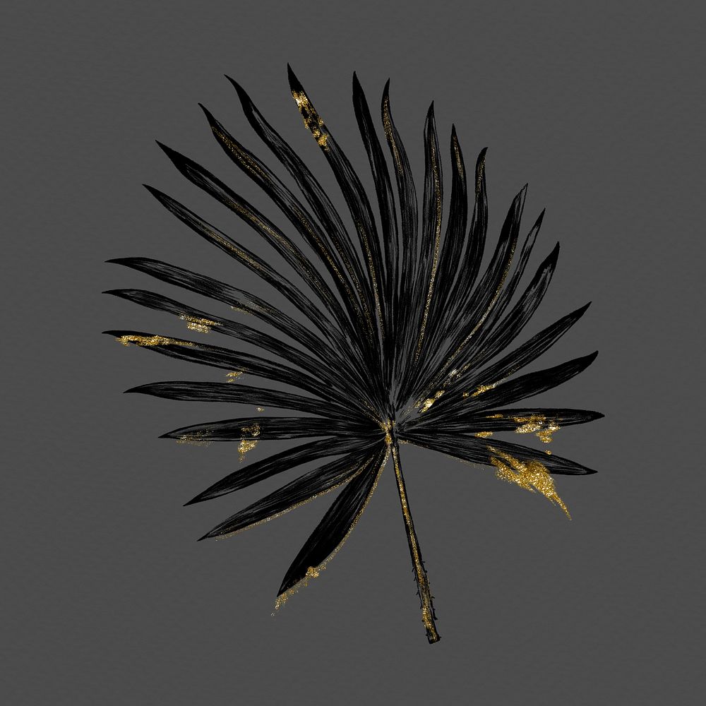 Tropical leaf clipart, black fan palm leaf, gold glitter design