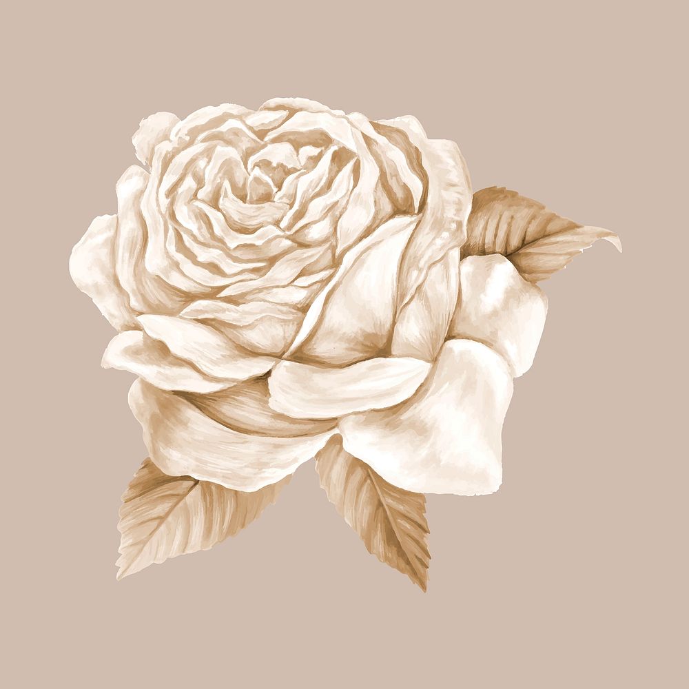 Rose collage element, brown aesthetic design vector