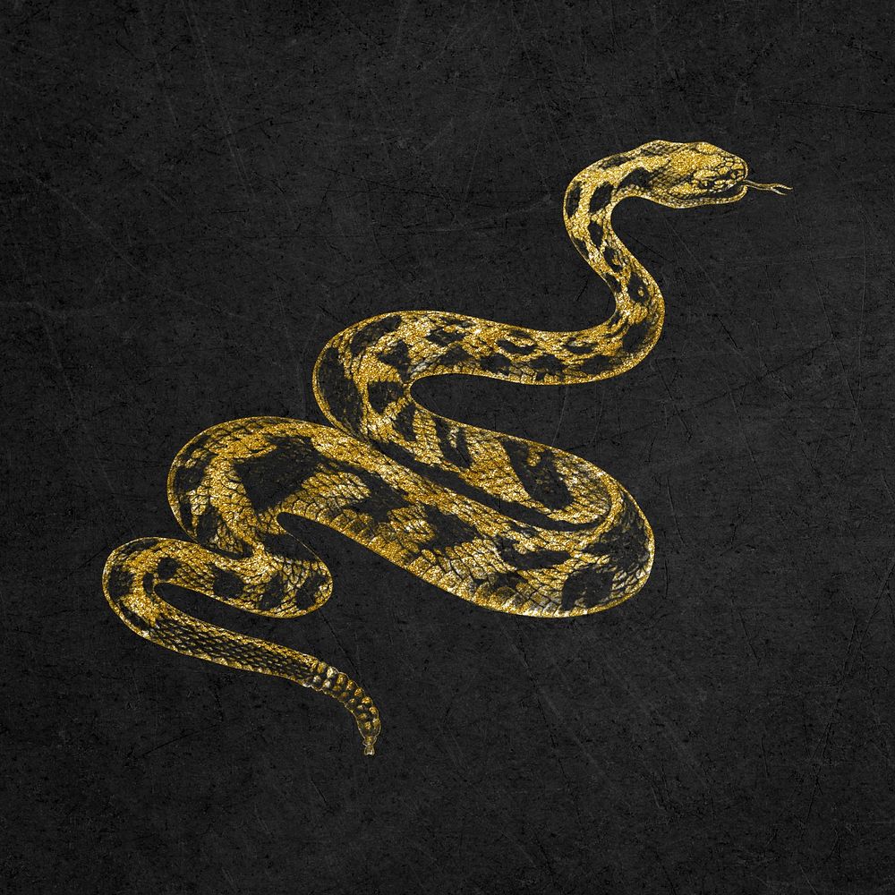 Snake collage element, gold glitter design psd