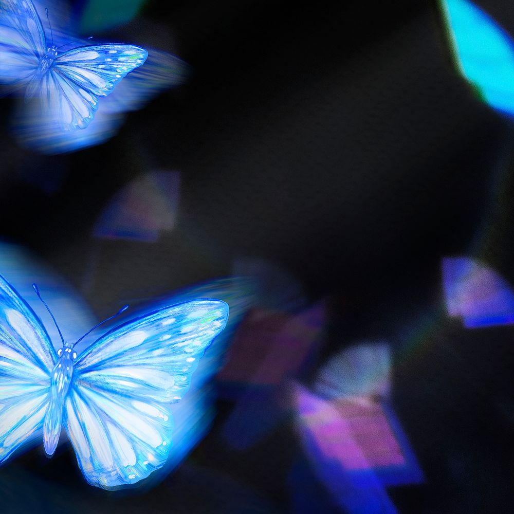 Black background, blue butterfly, aesthetic design, social media post psd