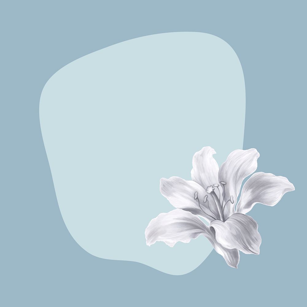 Blue frame background, lily, transparent design vector