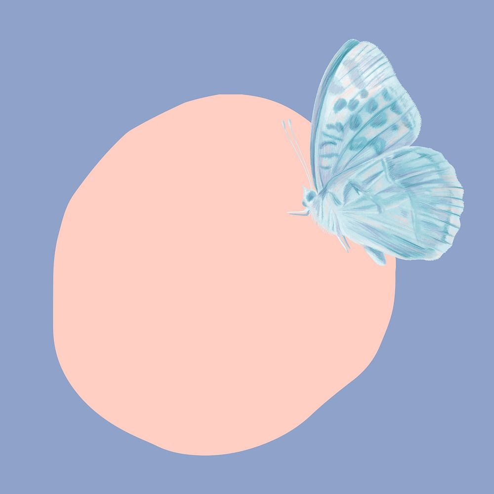 Pastel frame background, blue butterfly design