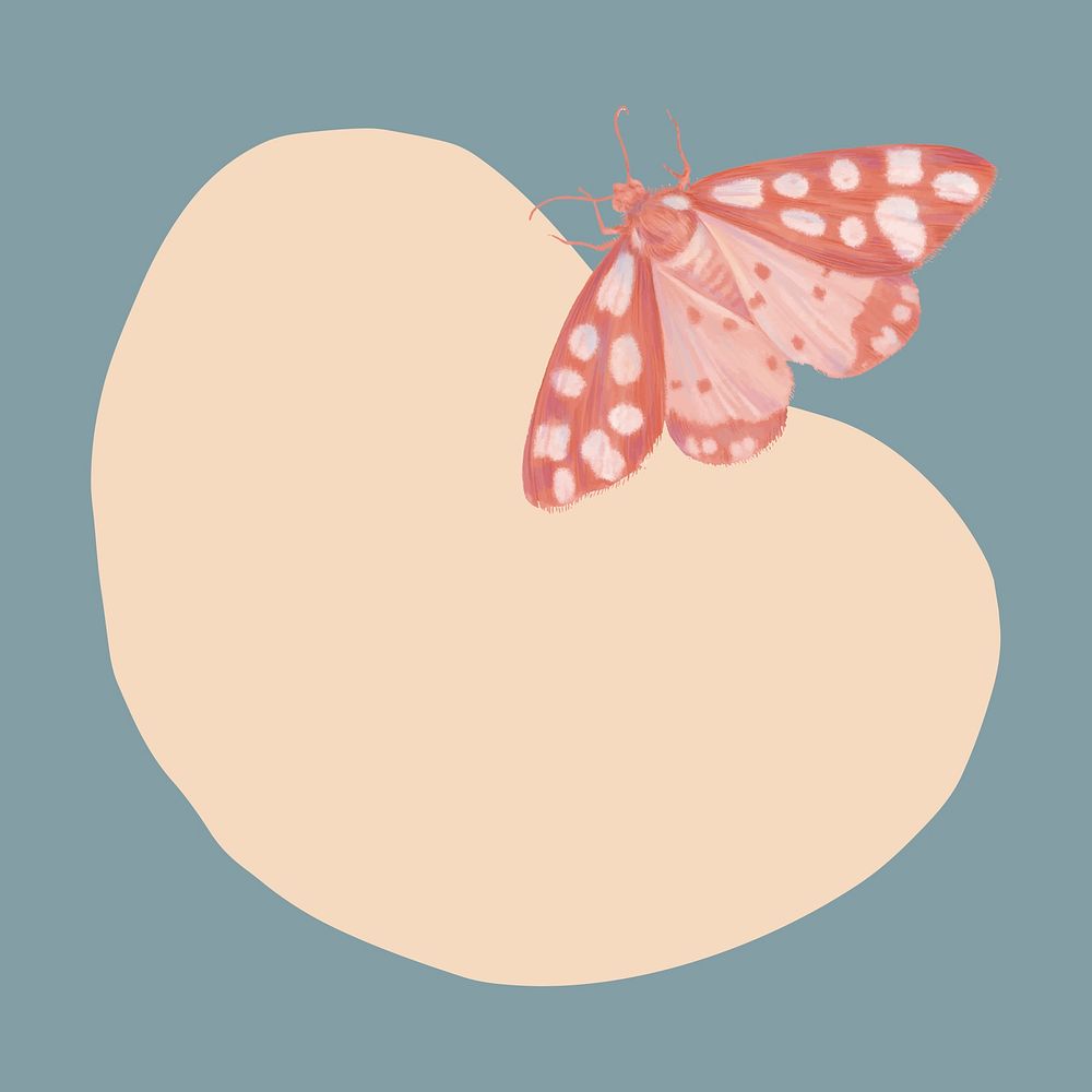 Cute pastel frame background, butterfly, transparent design vector