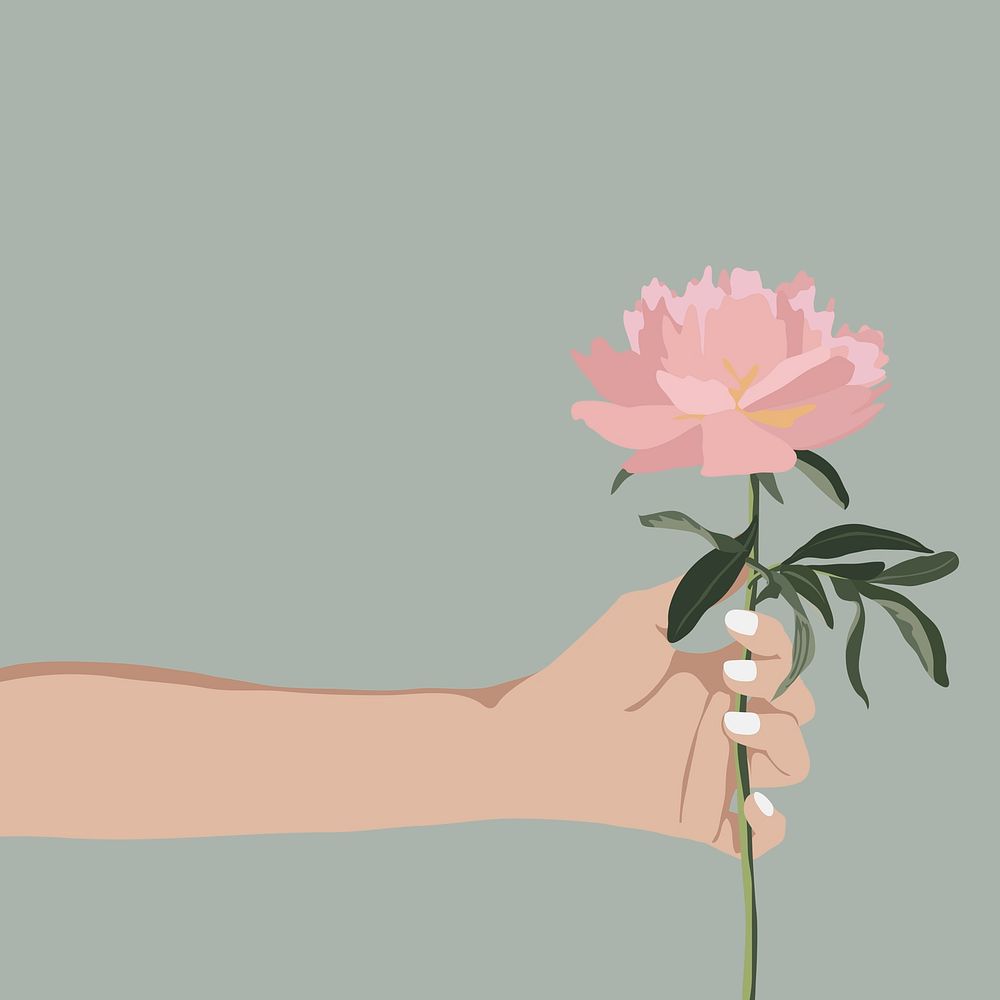 Giving pink rose background, botanical illustration design