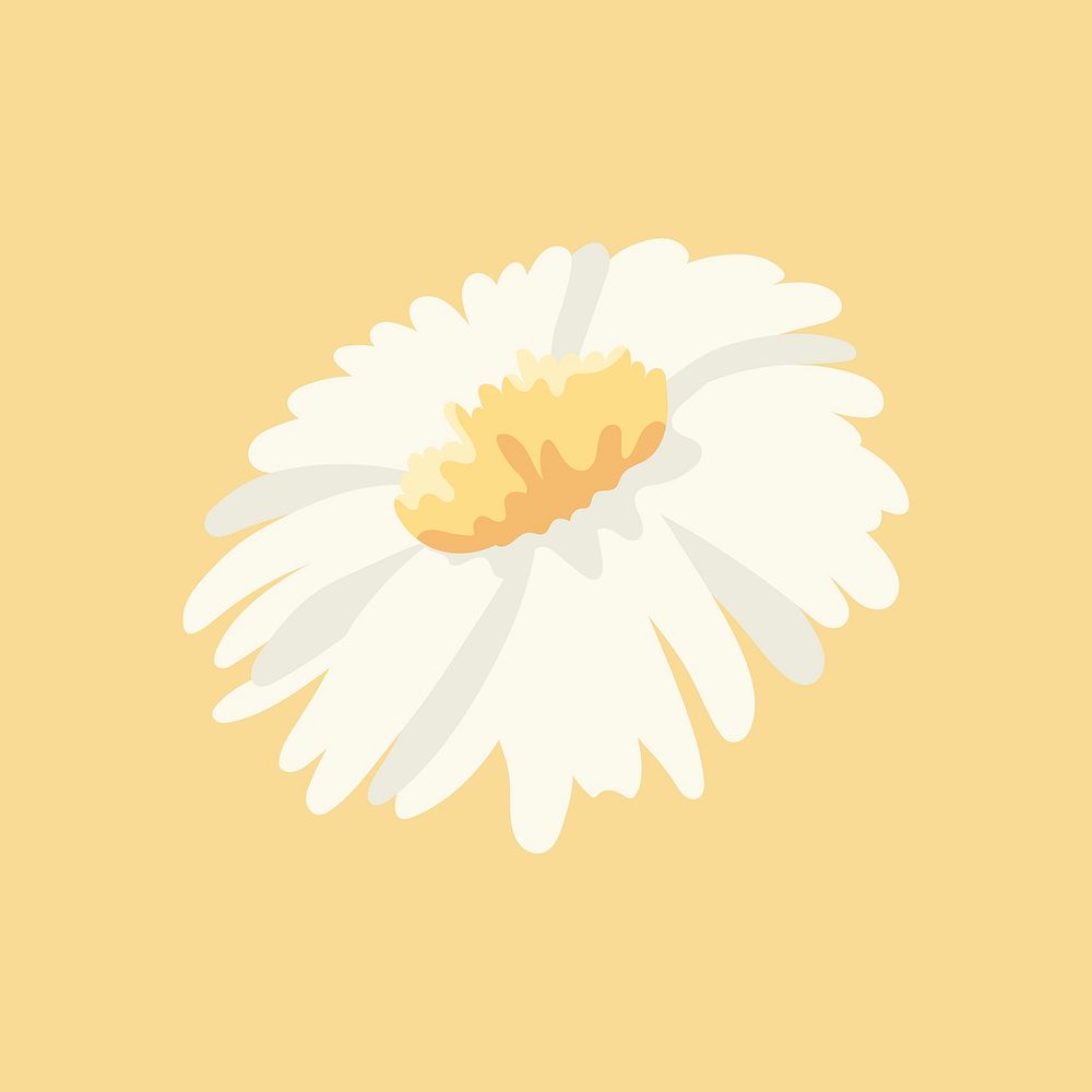 Daisy clipart, white flower illustration design vector