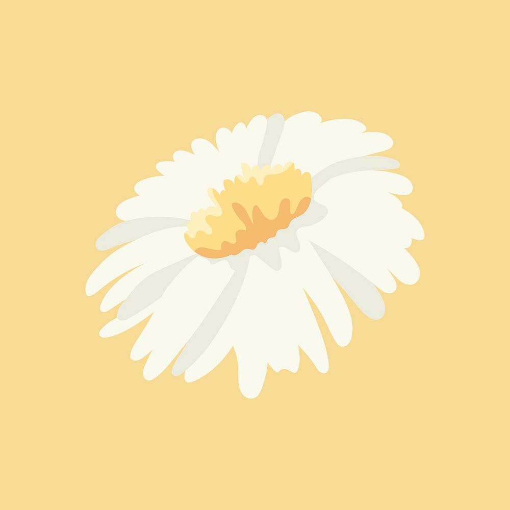 Daisy clipart, white flower illustration design psd