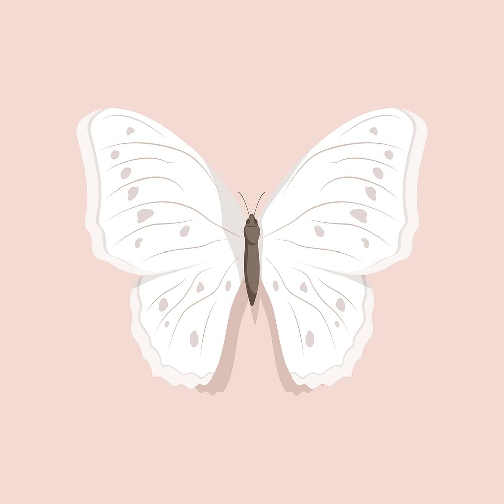 Butterfly clipart, cute illustration design