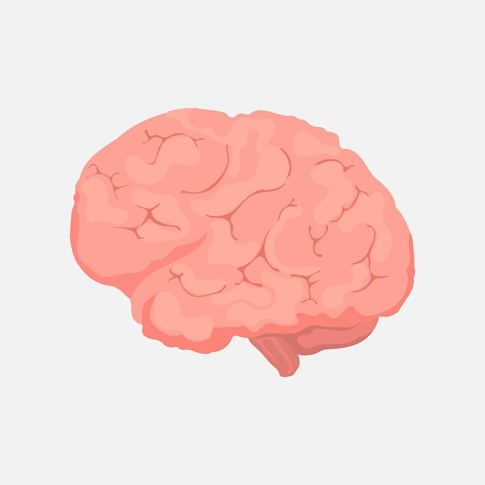 Brain clipart, mental health illustration vector