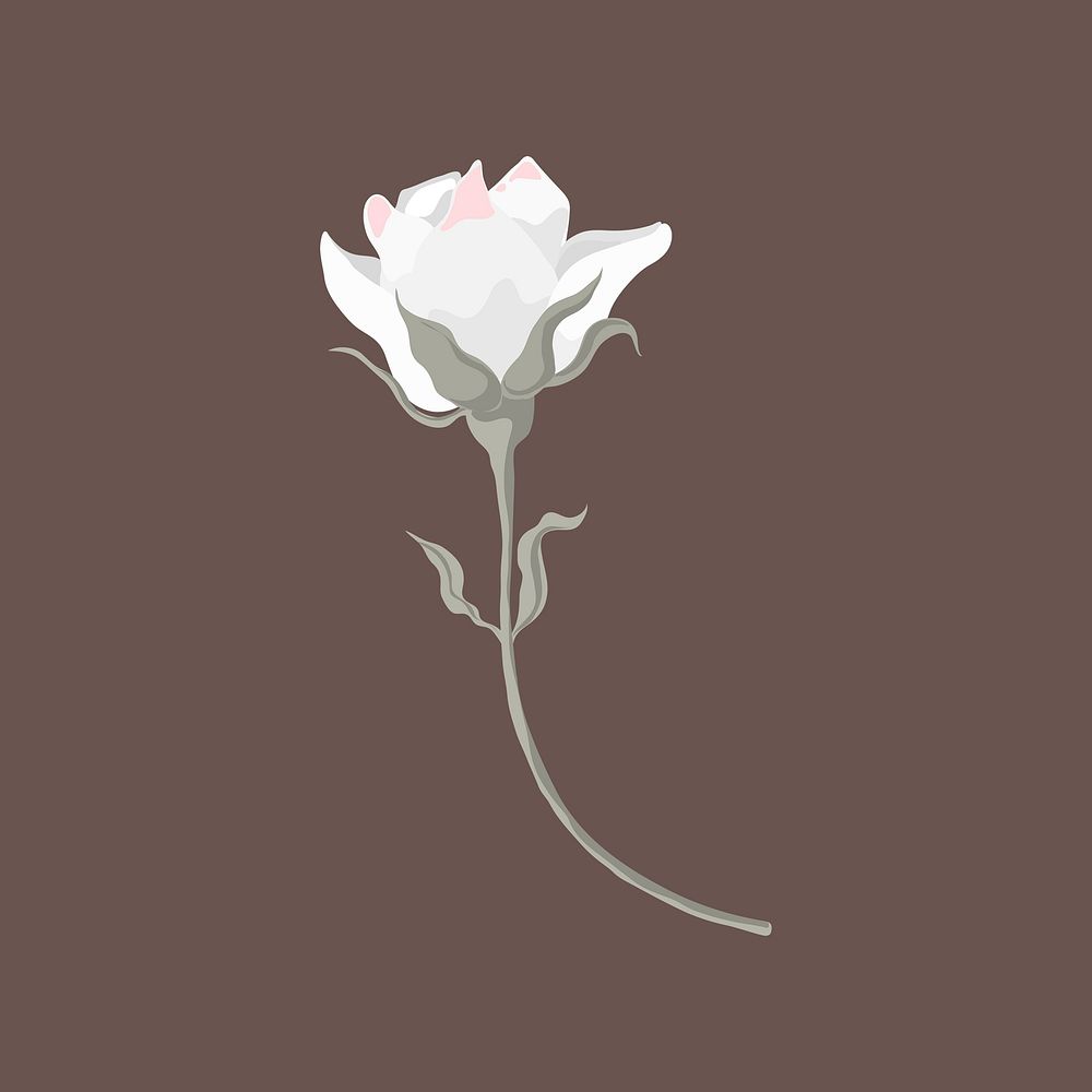 Rose clipart, white flower design vector
