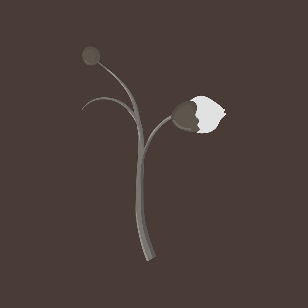 Jasmine buds, botanical illustration design vector