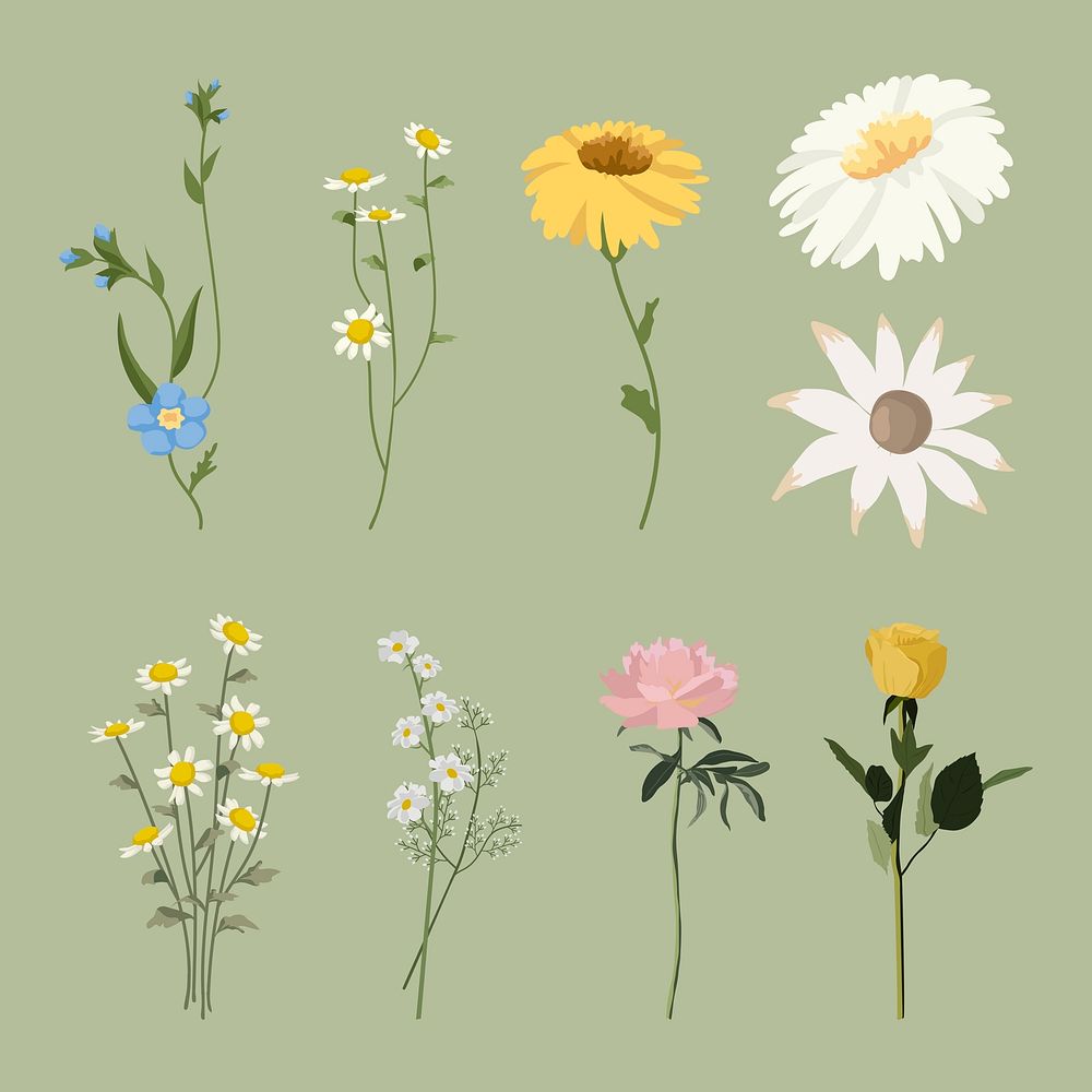 Flower stickers, botanical illustration design set psd
