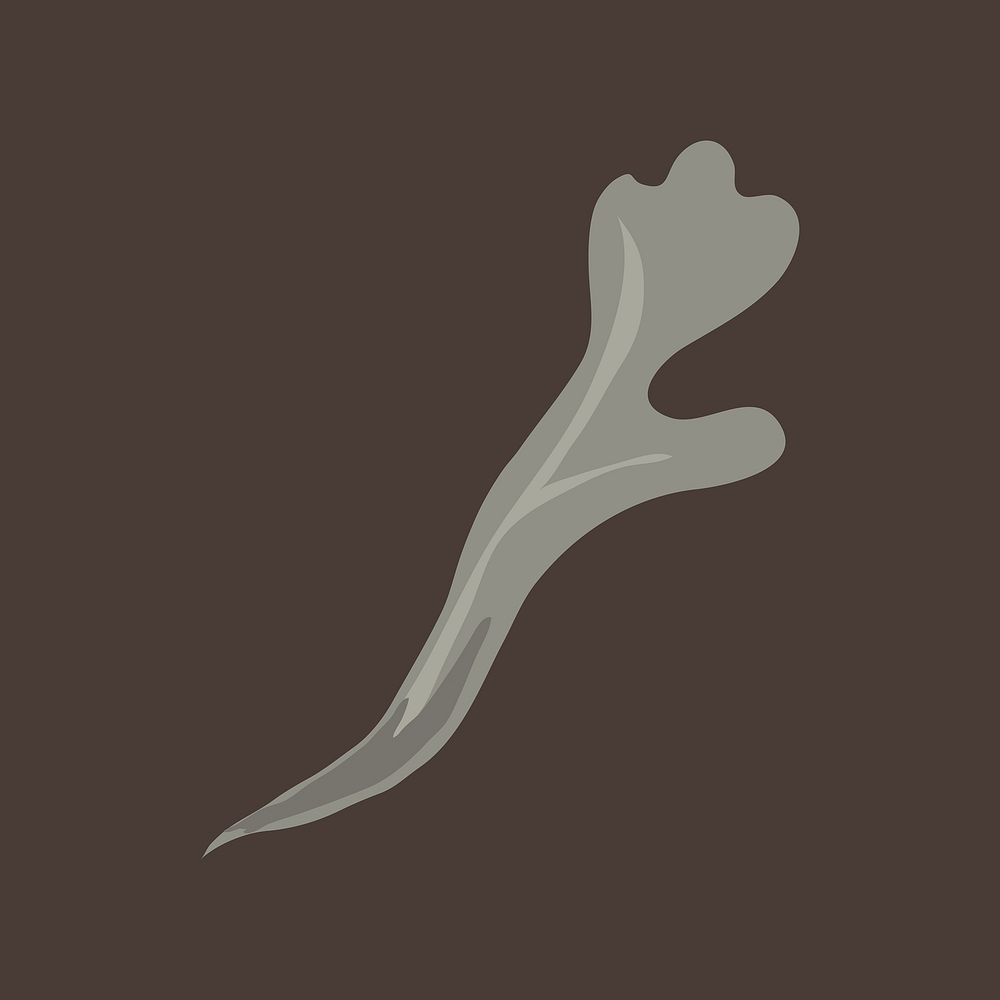 Gray leaf clipart, botanical illustration design vector