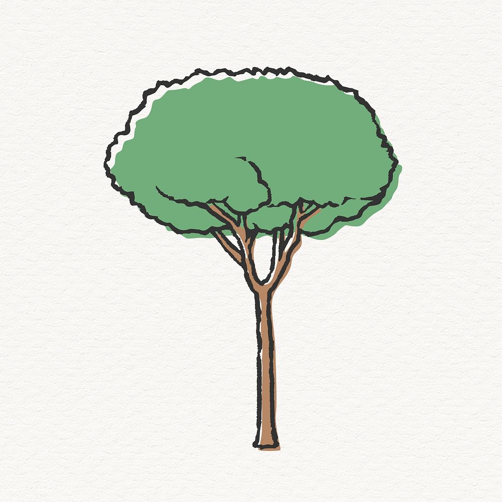 Japanese zelkova tree illustration, nature design