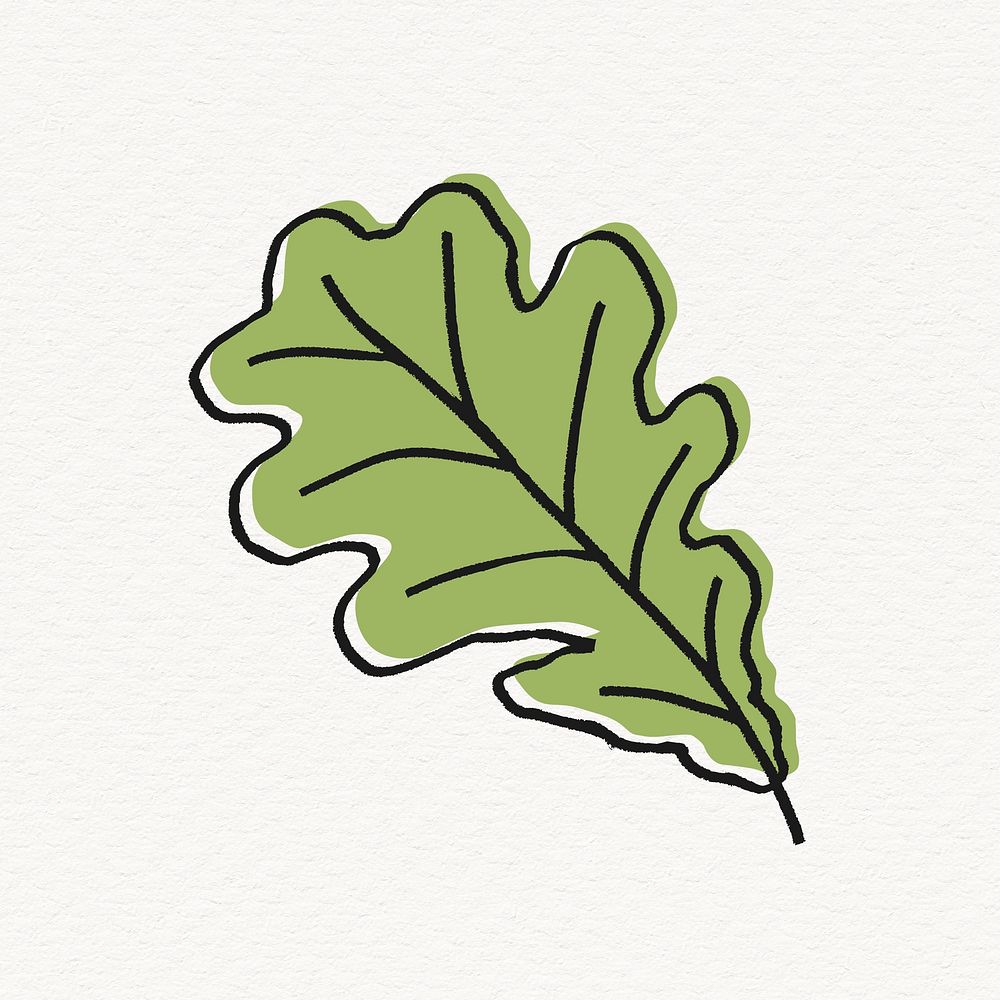 Oak leaf sticker, cute line art collage element vector