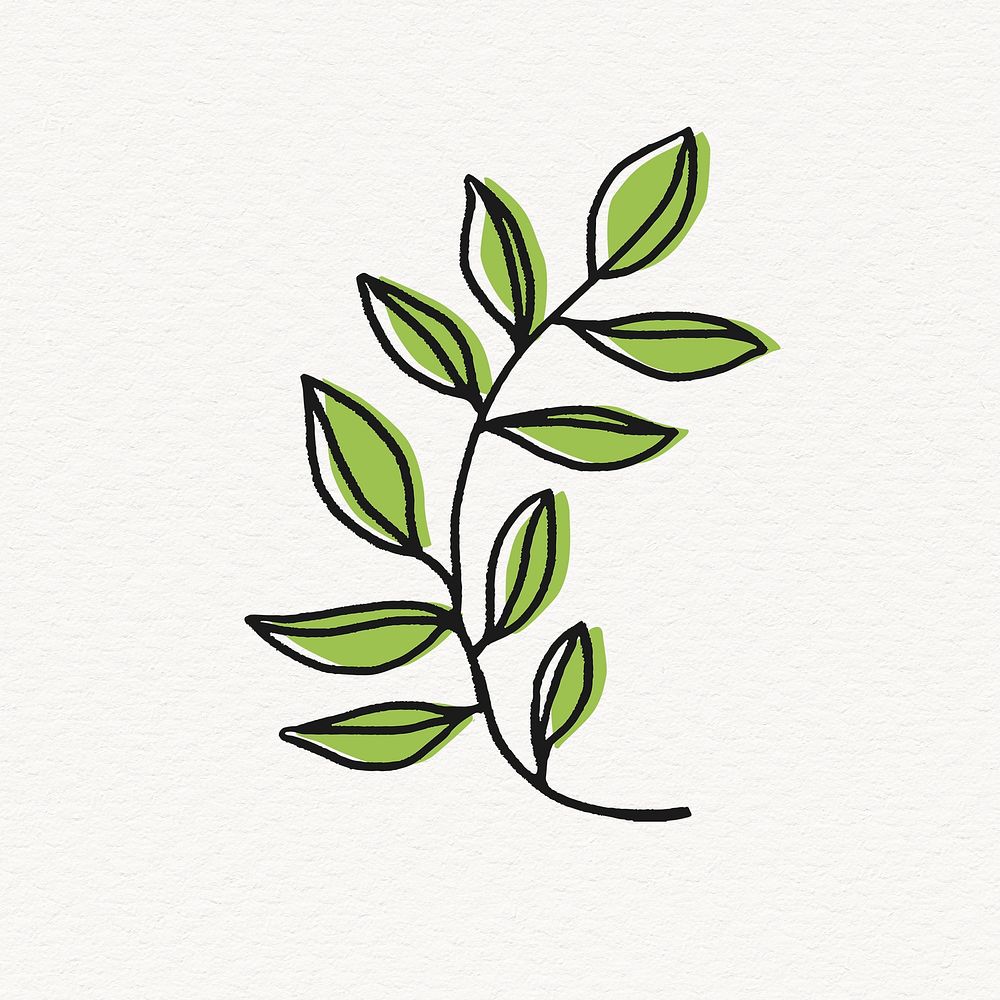 Bay leaf line art collage element, nature design vector