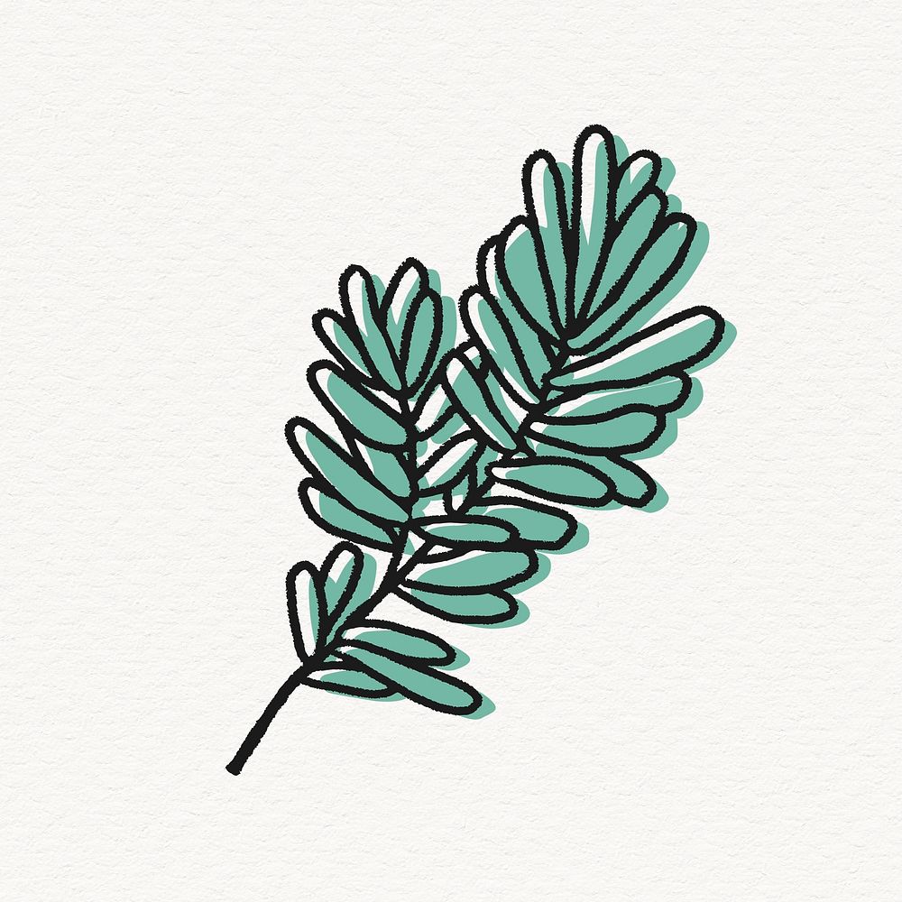 Mimosa pudica leaf sticker, line art design vector