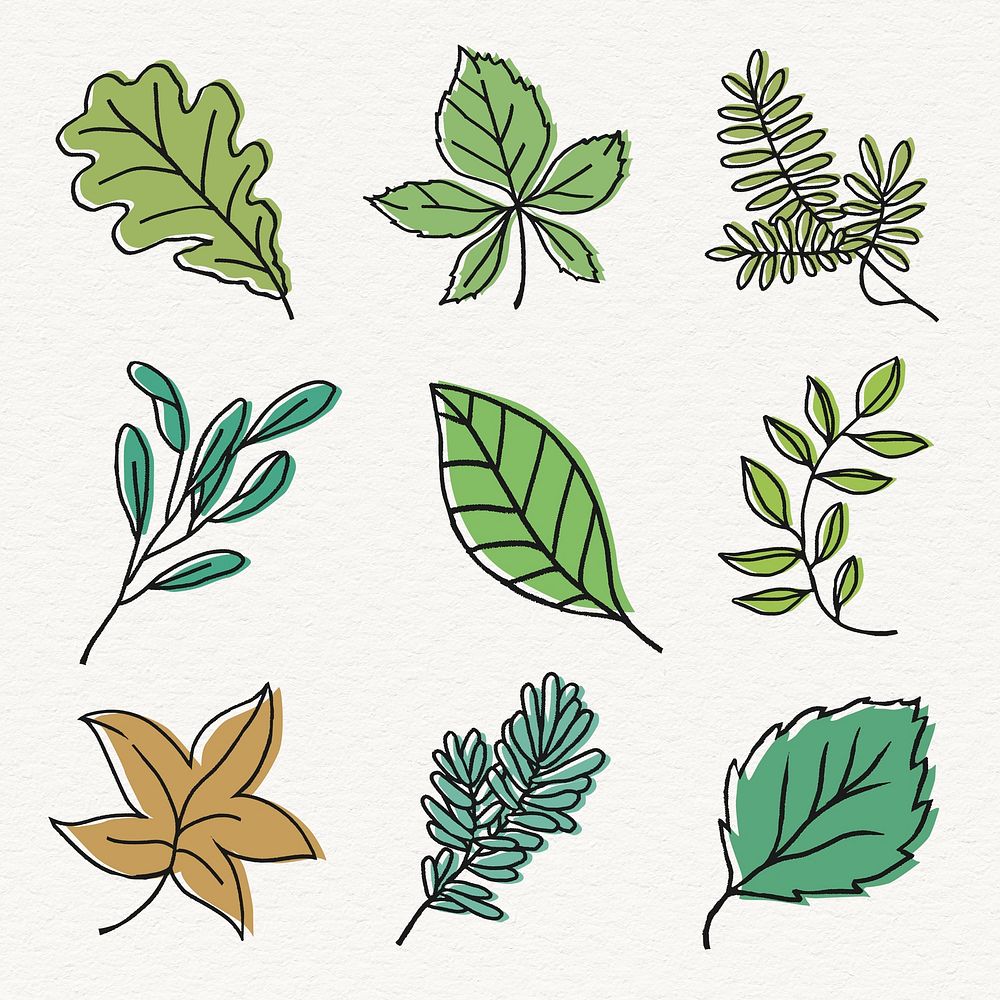 Simple leaf line art collage element set psd